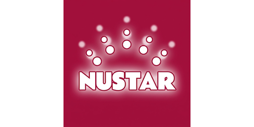 phnustargamecom.net Logo